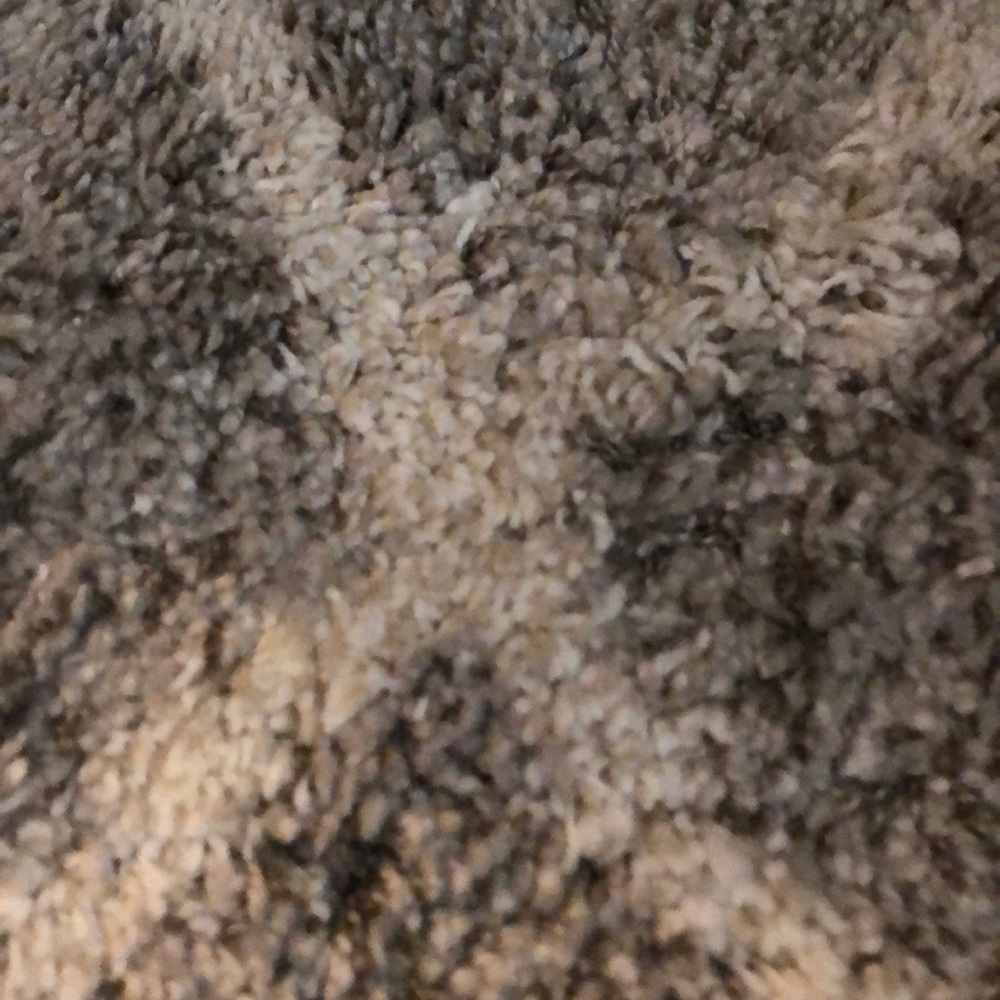 Meet your Posher, Charity